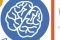 brain