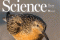 science