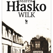 wilk