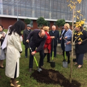 a tree-planting ceremony  3