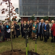 a tree-planting ceremony  2