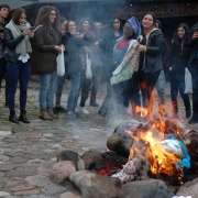 erasmus 382