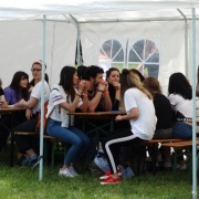picnic 1