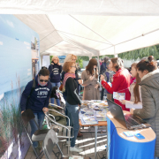 Polish Culture Days in Kaliningrad 10
